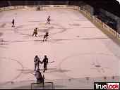 Spiders 
Arena Game Action Web Cam Photo #6