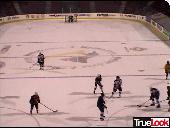 Spiders 
Arena Game Action Web Cam Photo #7