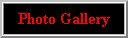 Photo Gallery